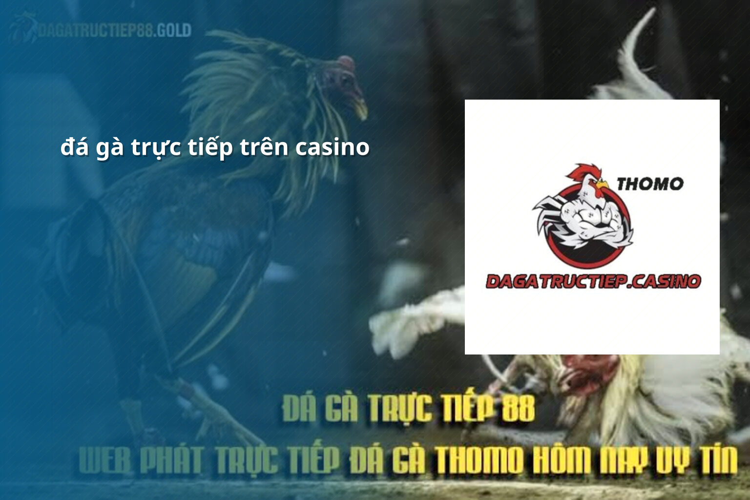 đá gà trực tiếp trên casino - gaming_research