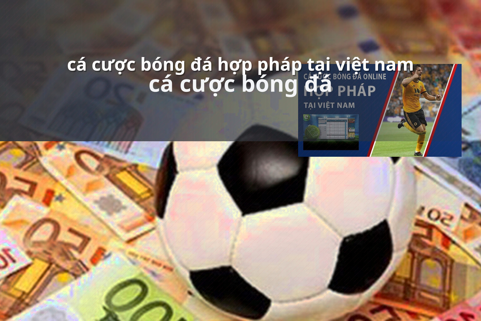 cá cược bóng đá hợp pháp tại việt nam cá cược bóng đá