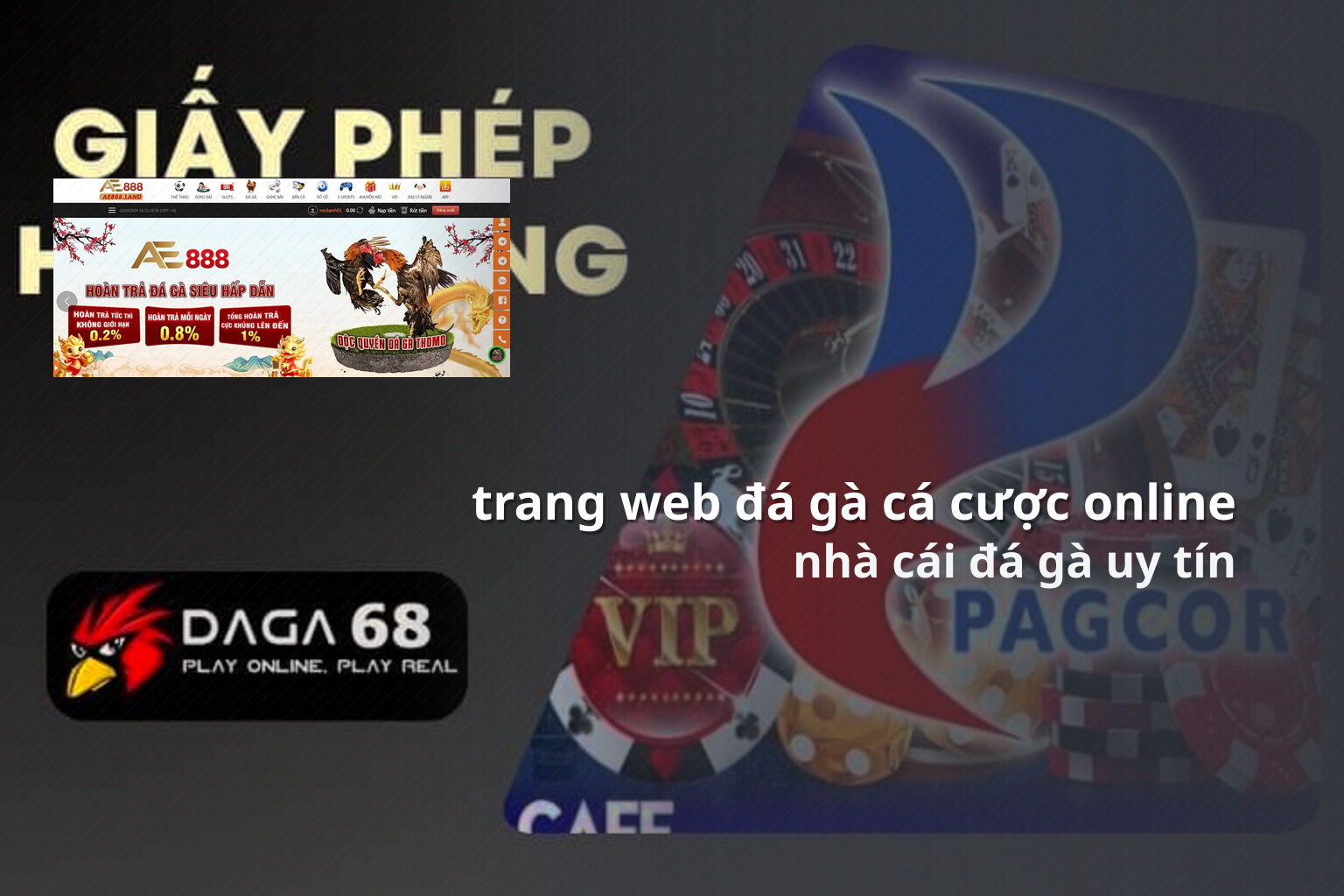 trang web đá gà cá cược online nhà cái đá gà uy tín