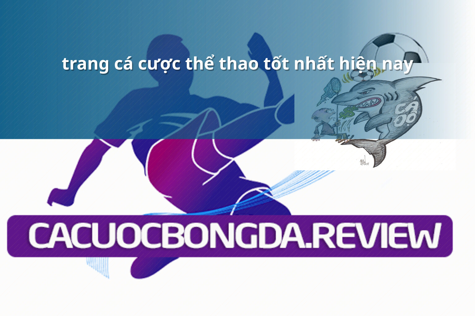 trang cá cược thể thao tốt nhất hiện nay - gaming_research