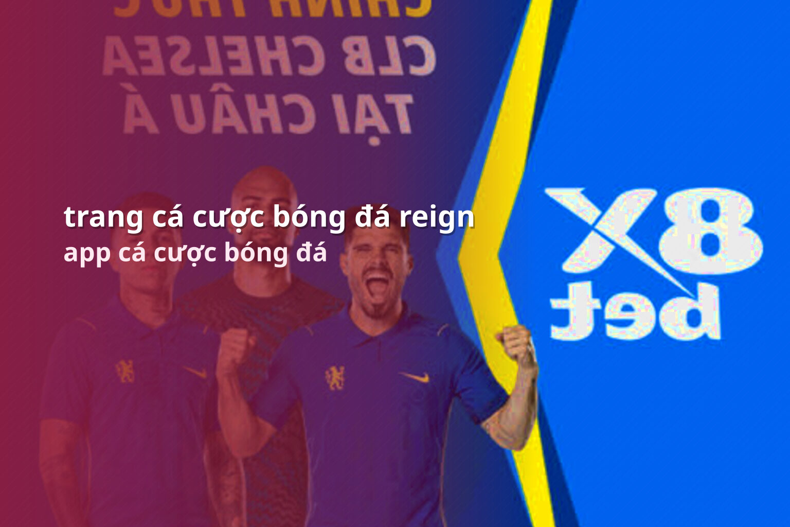 trang cá cược bóng đá reign app cá cược bóng đá