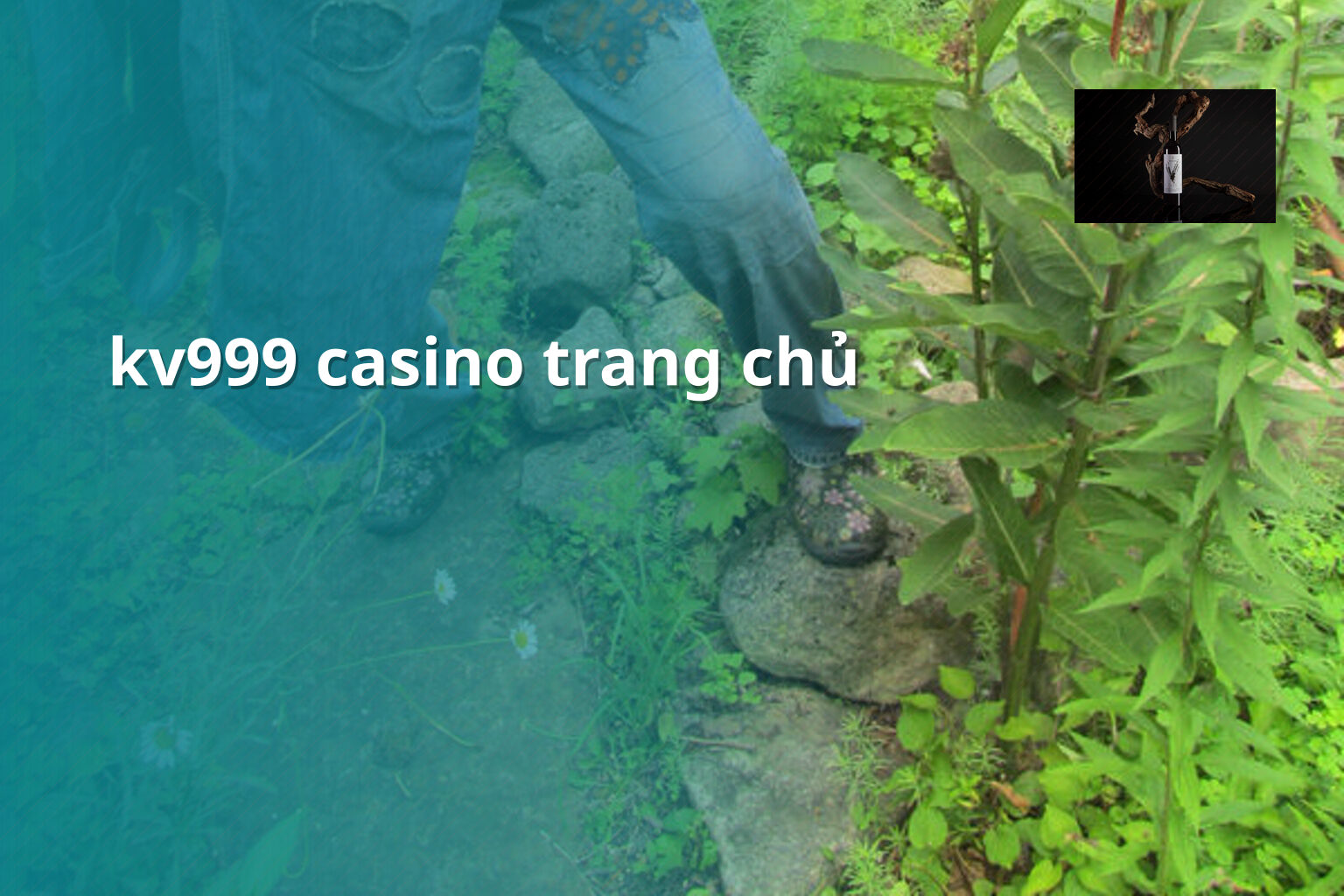 kv999 casino trang chủ - gaming_research