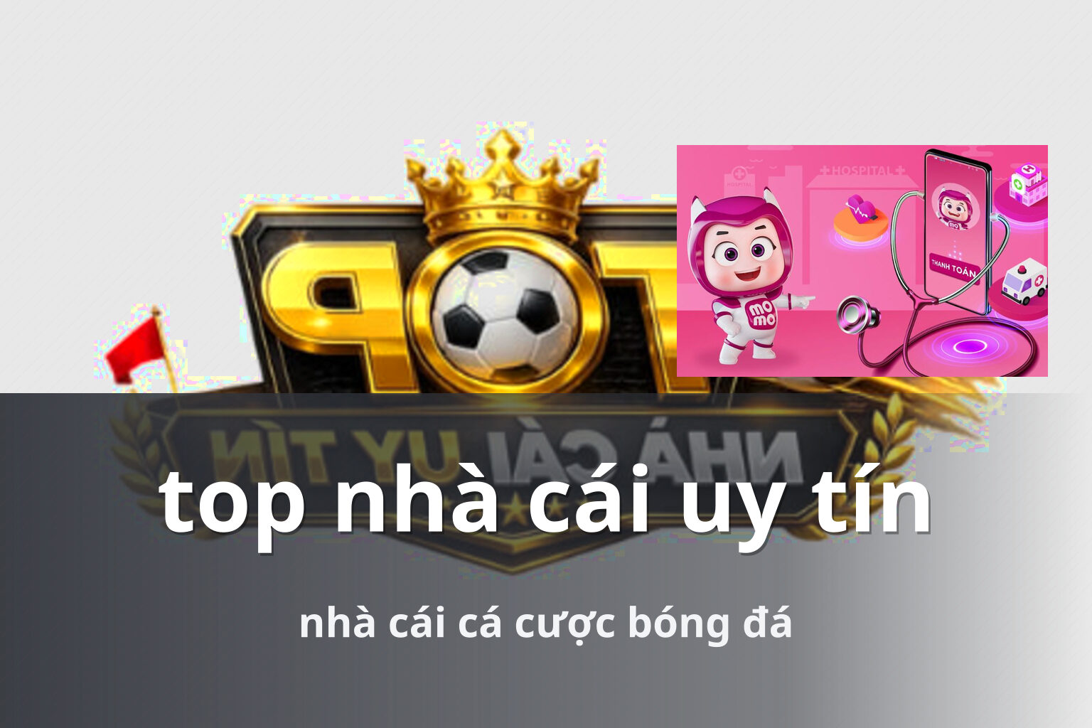 top nhà cái uy tín nhà cái cá cược bóng đá