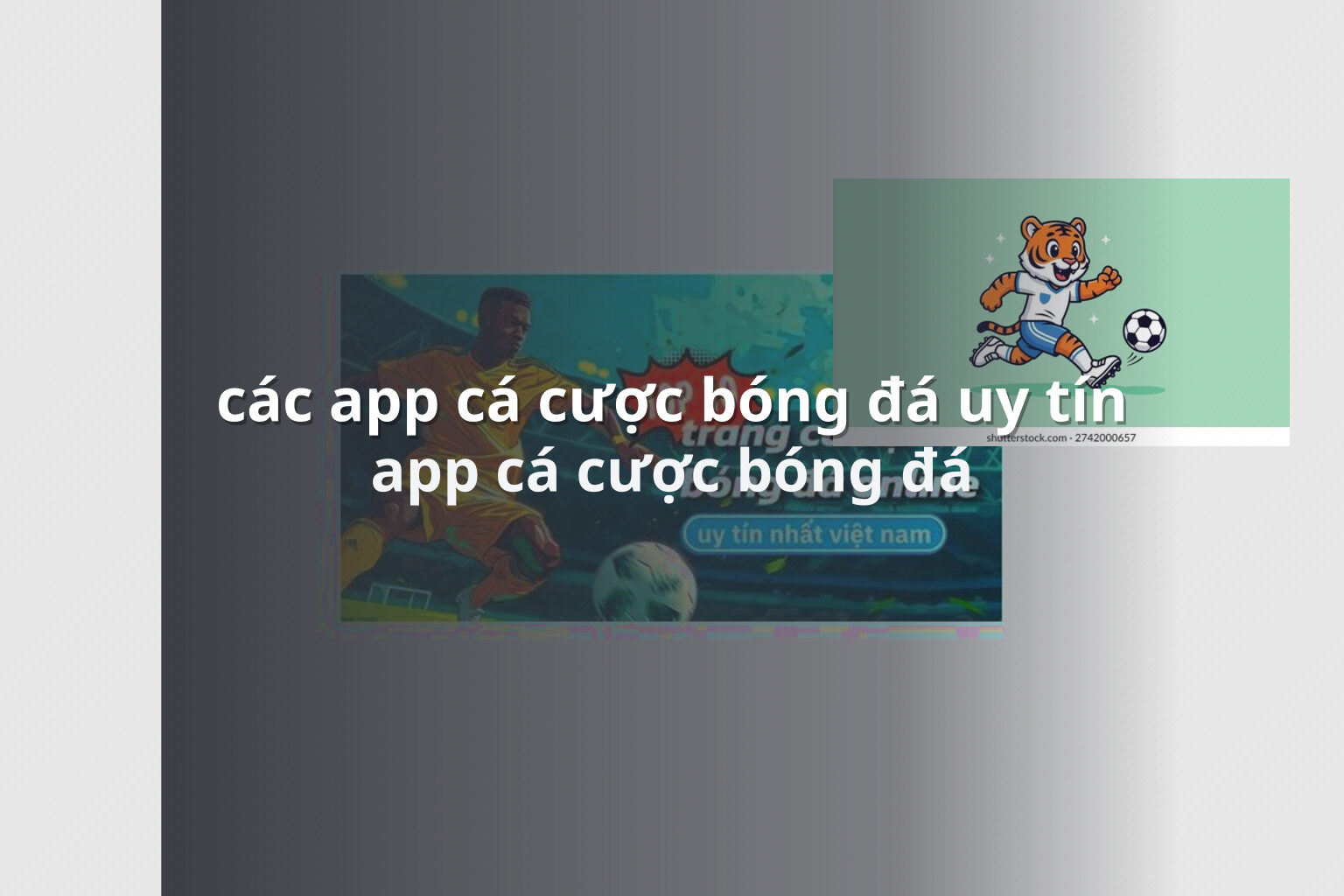các app cá cược bóng đá uy tín app cá cược bóng đá