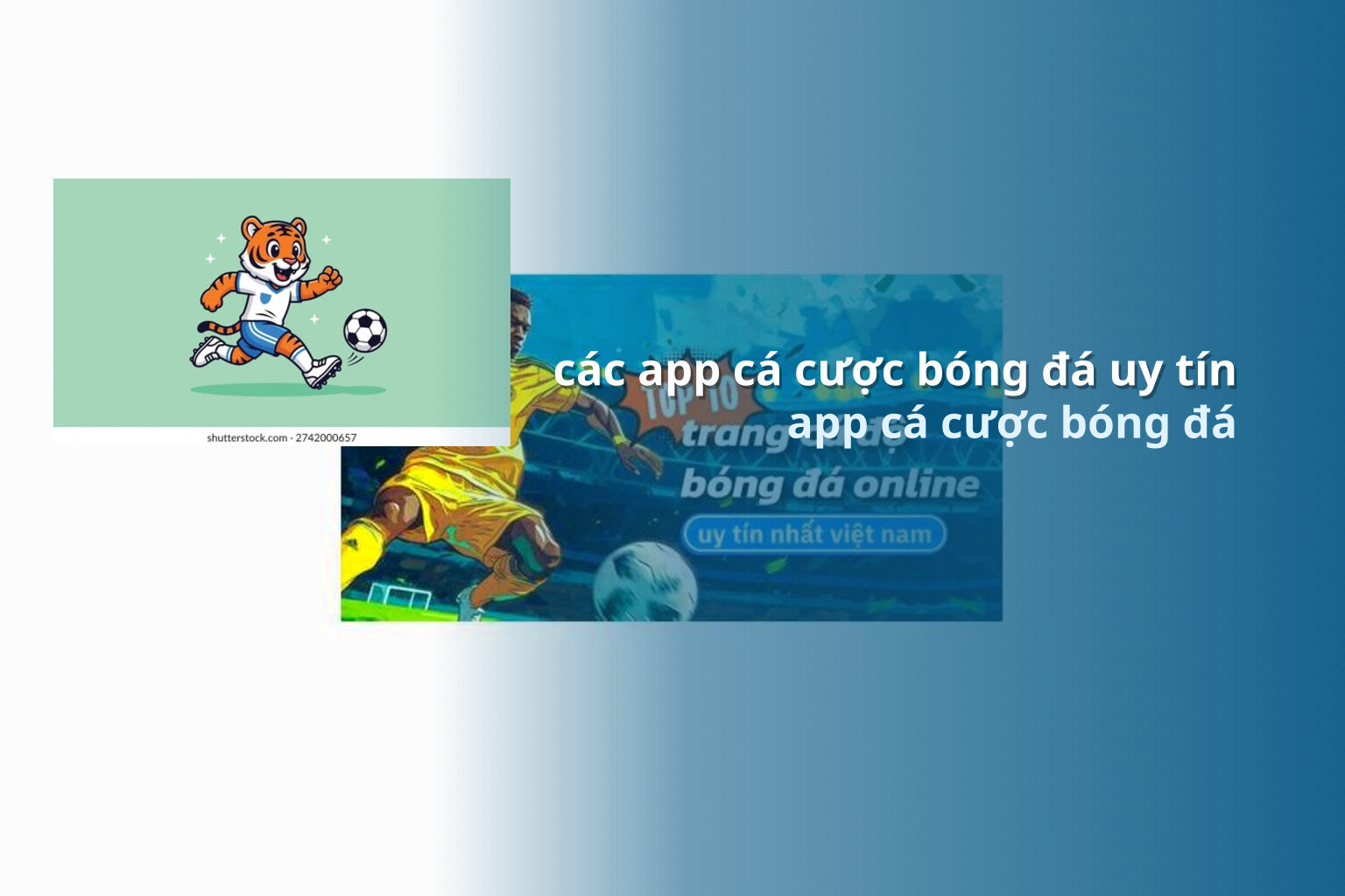 các app cá cược bóng đá uy tín app cá cược bóng đá