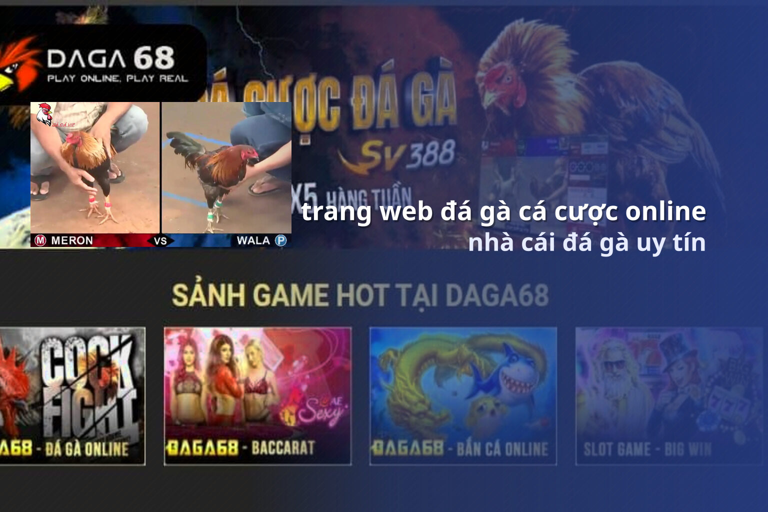 trang web đá gà cá cược online - gaming_research