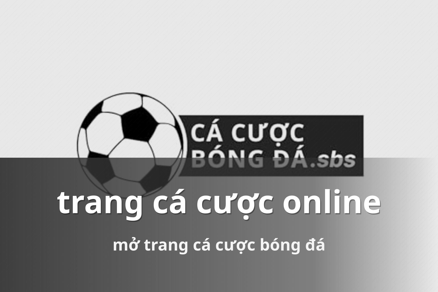 trang cá cược online mở trang cá cược bóng đá