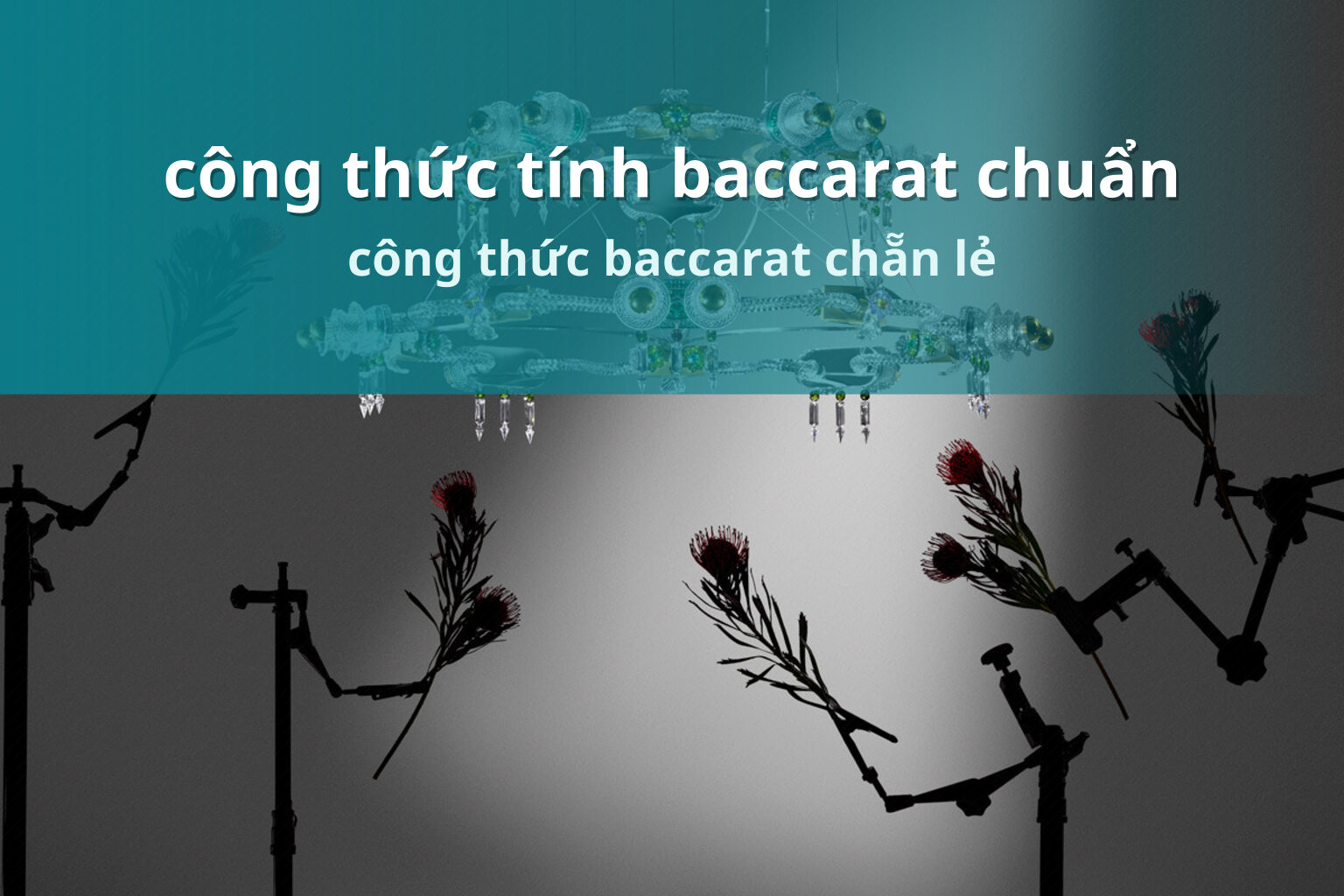 công thức tính baccarat chuẩn công thức baccarat chẵn lẻ