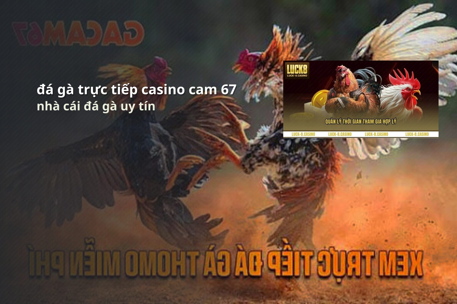 đá gà trực tiếp casino cam 67 - gaming_research