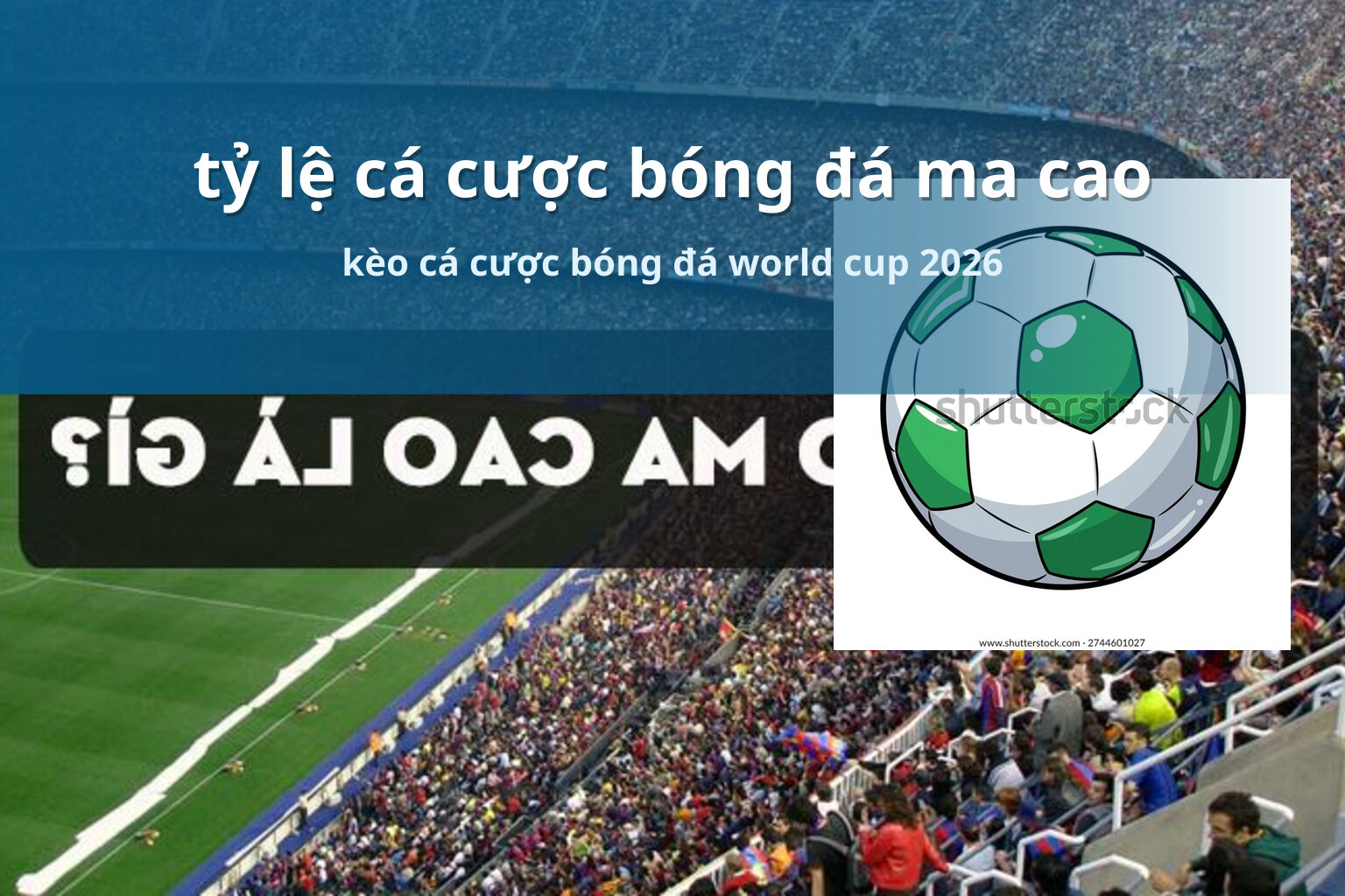 tỷ lệ cá cược bóng đá ma cao kèo cá cược bóng đá world cup 2026