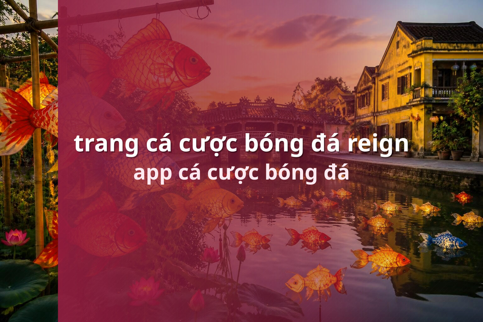 trang cá cược bóng đá reign - gaming_research