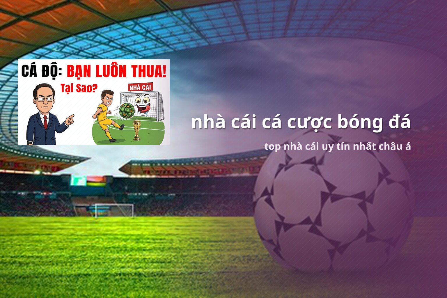 nhà cái cá cược bóng đá top nhà cái uy tín nhất châu á