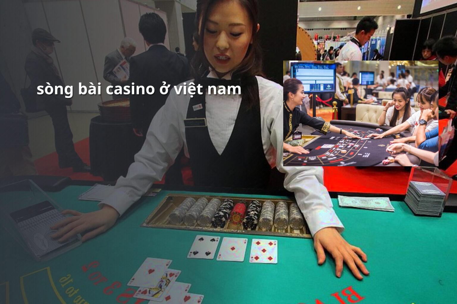 sòng bài casino ở việt nam - gaming_research