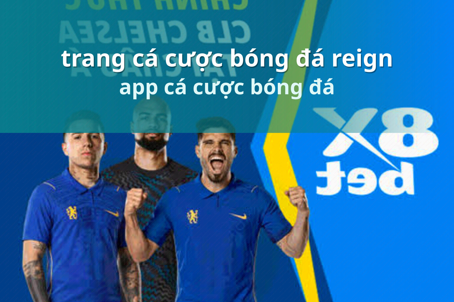 trang cá cược bóng đá reign app cá cược bóng đá