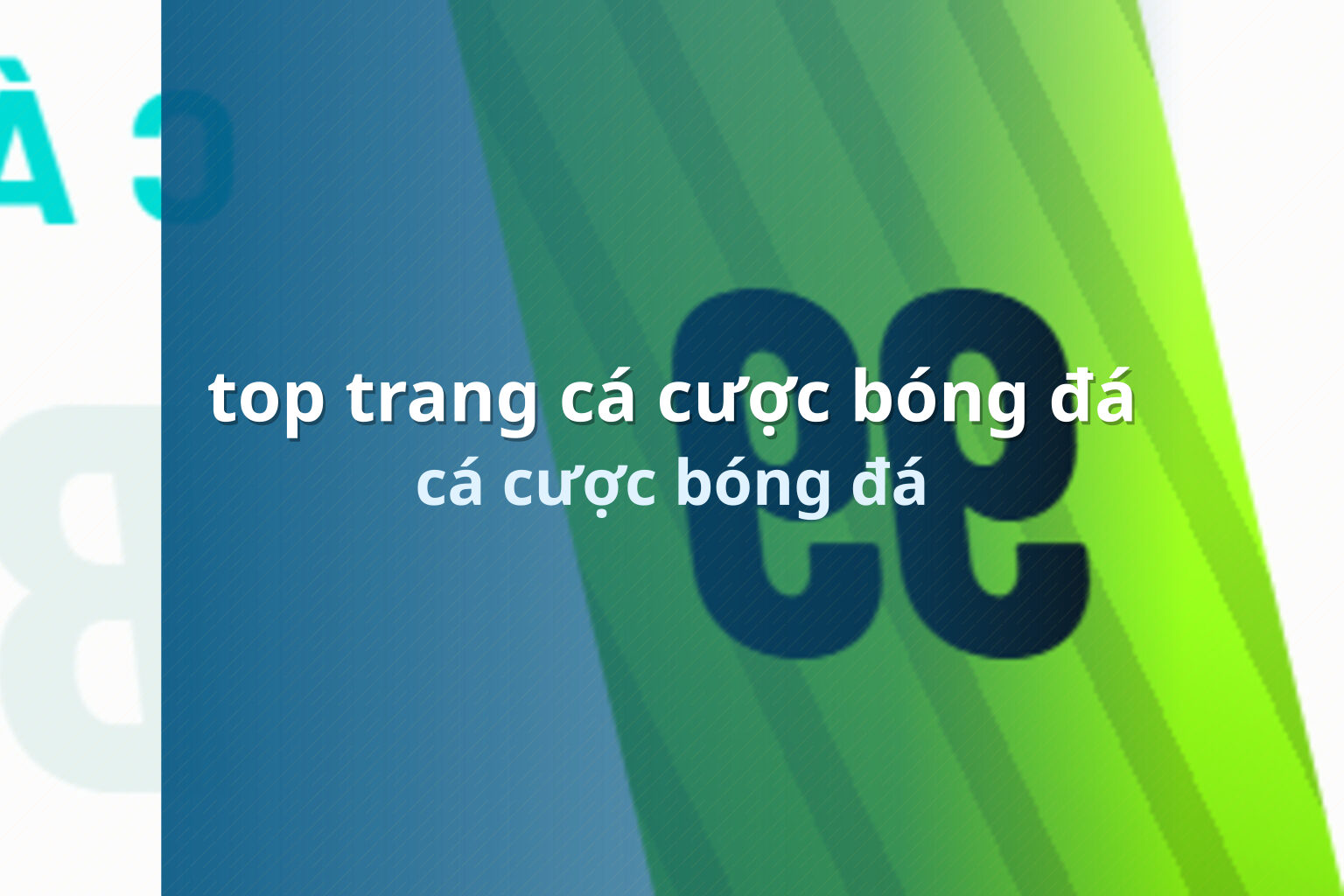top trang cá cược bóng đá cá cược bóng đá