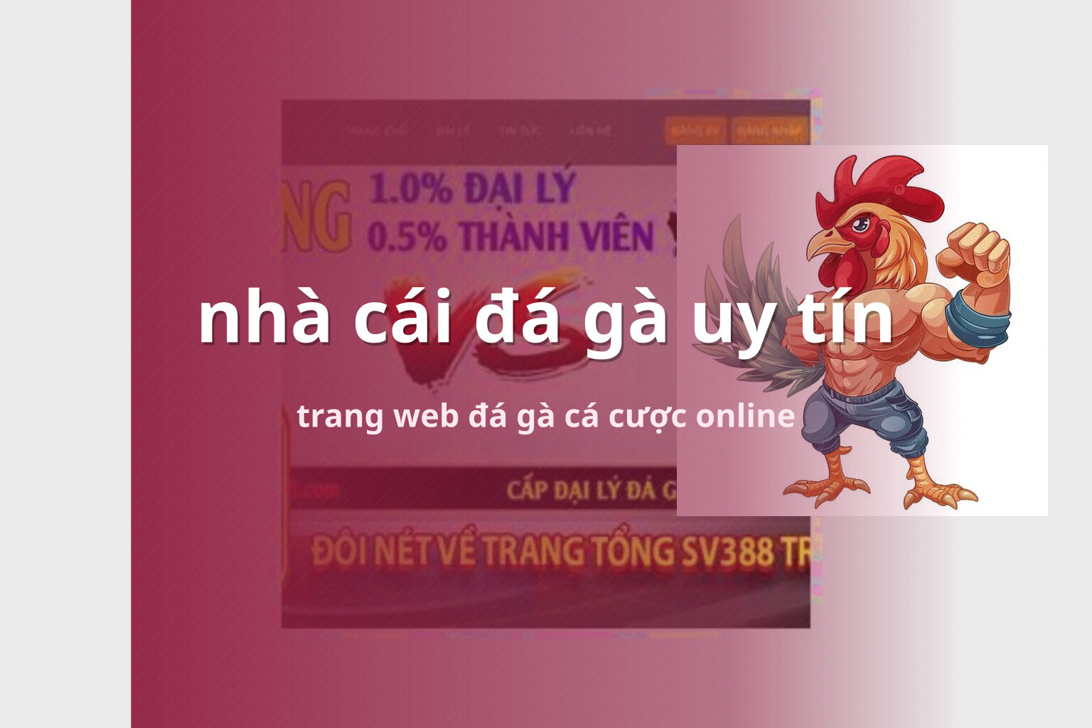 nhà cái đá gà uy tín trang web đá gà cá cược online