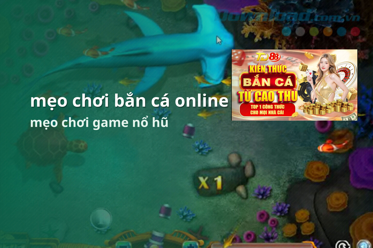 mẹo chơi bắn cá online - gaming_research
