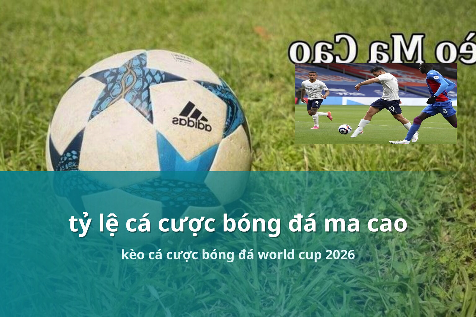 tỷ lệ cá cược bóng đá ma cao kèo cá cược bóng đá world cup 2026