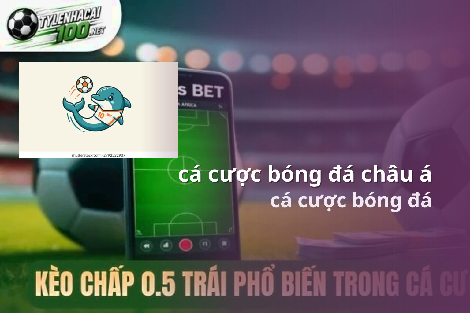 cá cược bóng đá châu á cá cược bóng đá