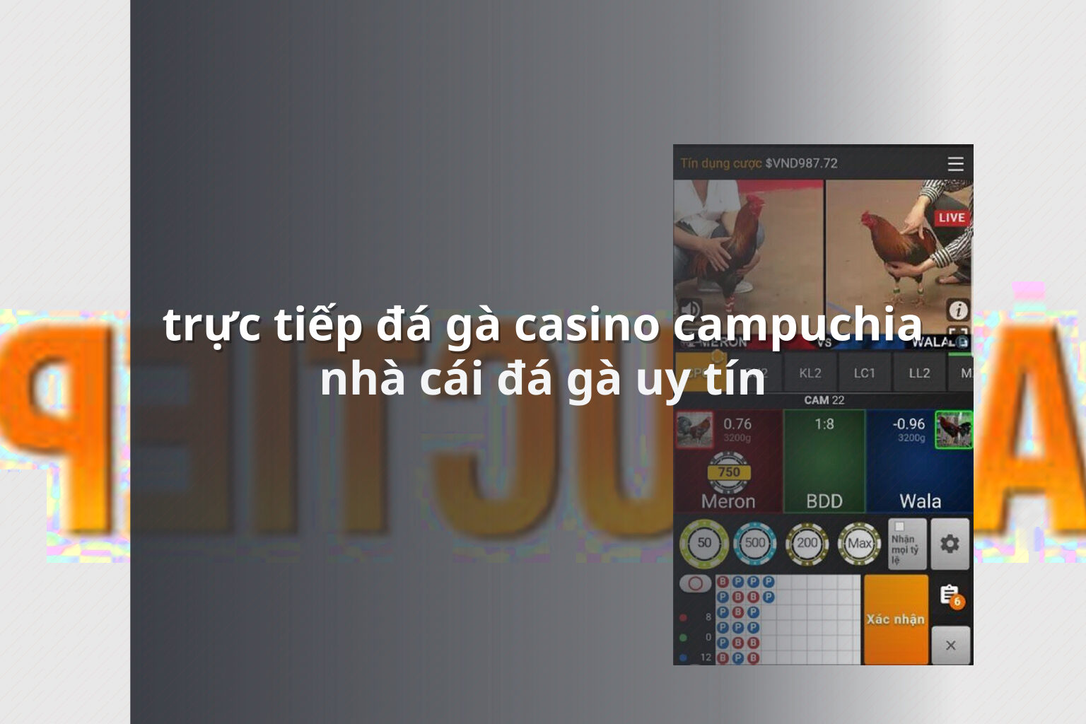 trực tiếp đá gà casino campuchia - gaming_research