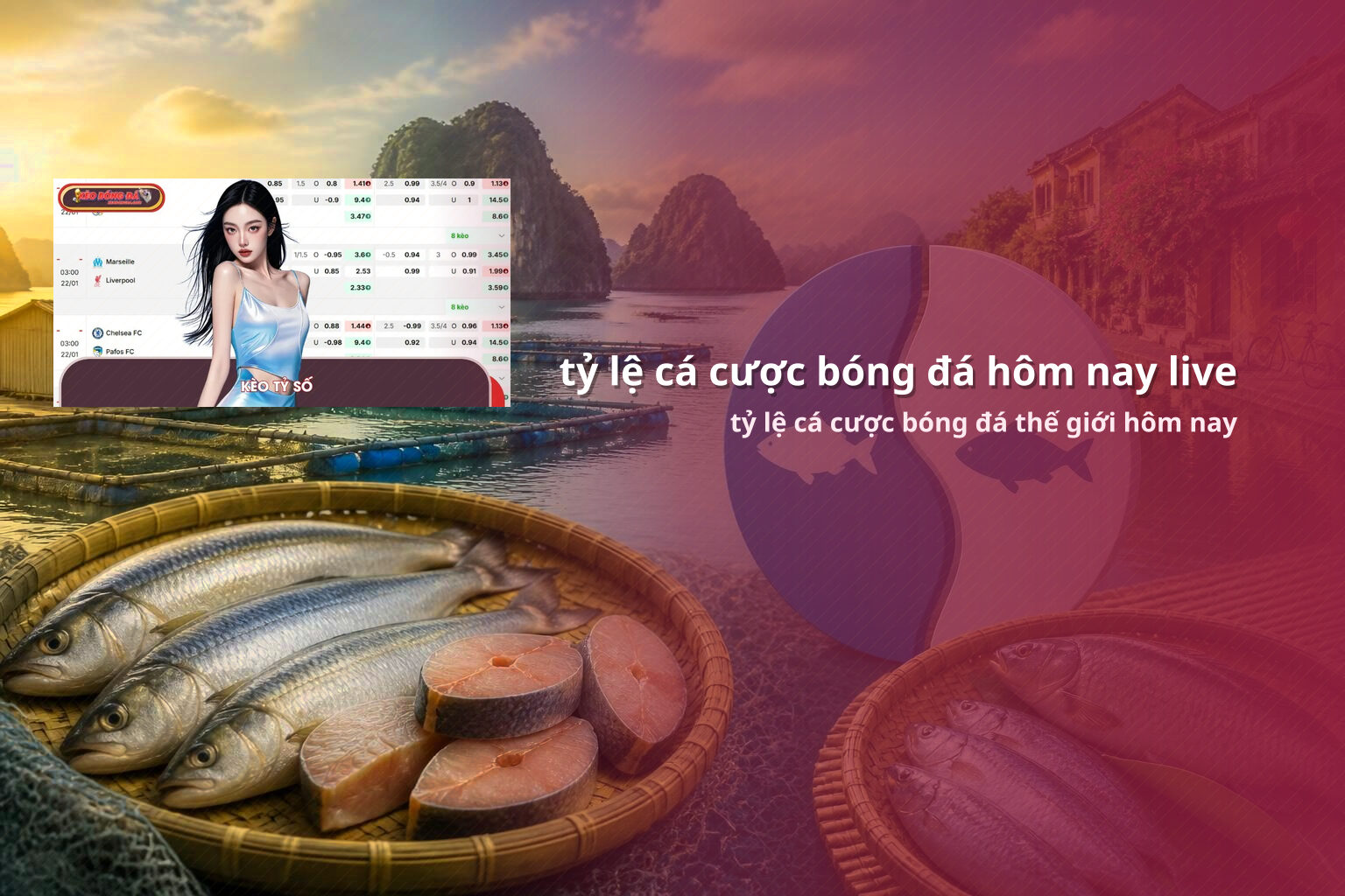 tỷ lệ cá cược bóng đá hôm nay live tỷ lệ cá cược bóng đá thế giới hôm nay