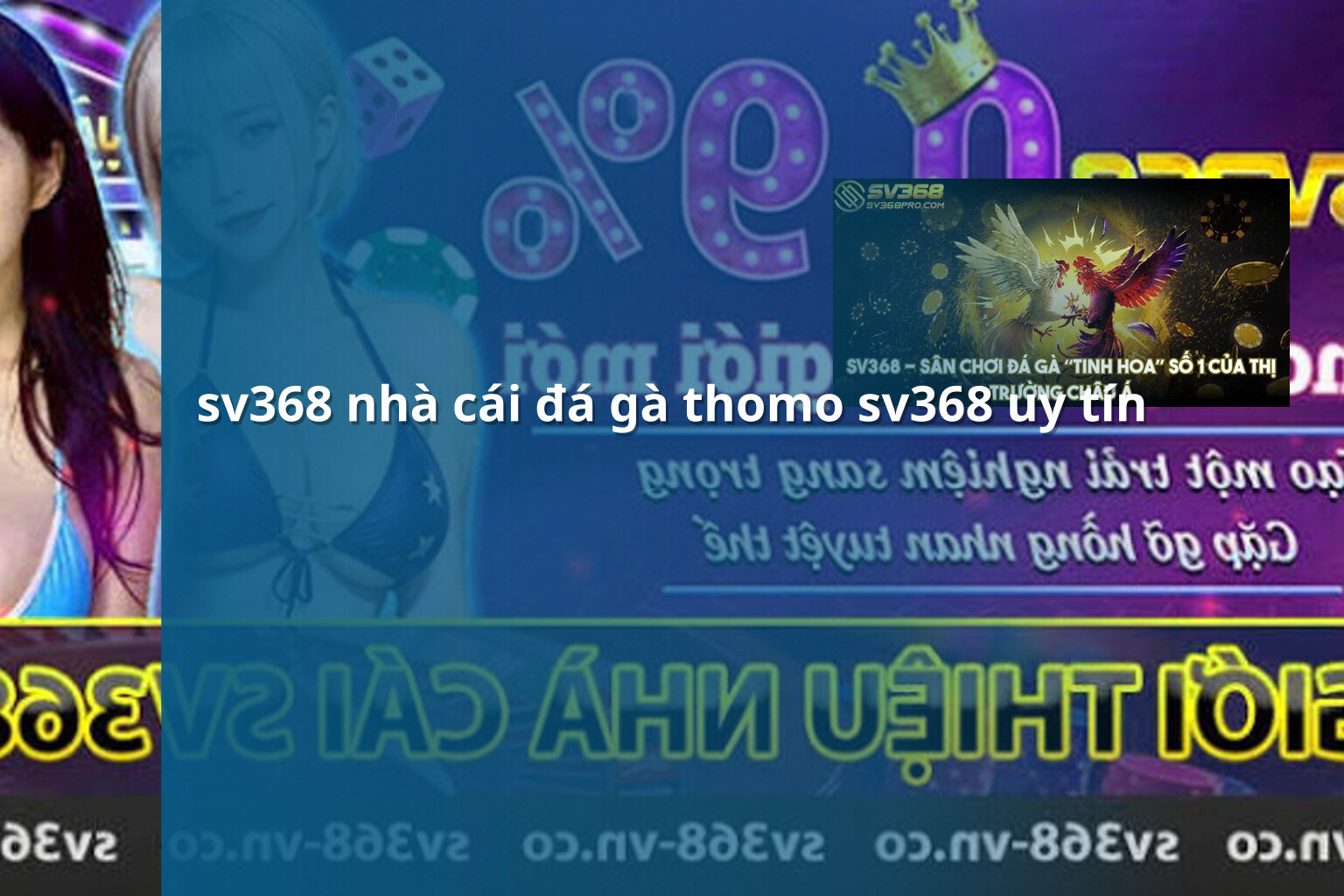 sv368 nhà cái đá gà thomo sv368 uy tín - gaming_research