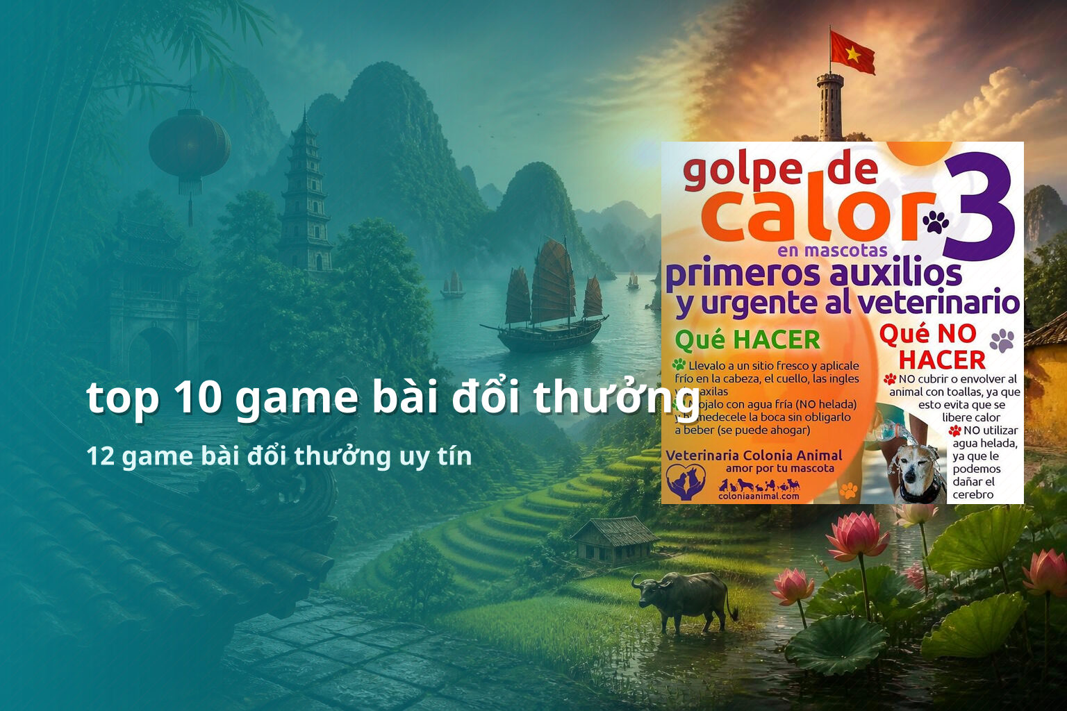 top 10 game bài đổi thưởng 12 game bài đổi thưởng uy tín