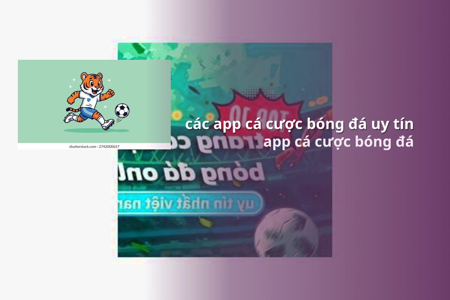 các app cá cược bóng đá uy tín - gaming_research
