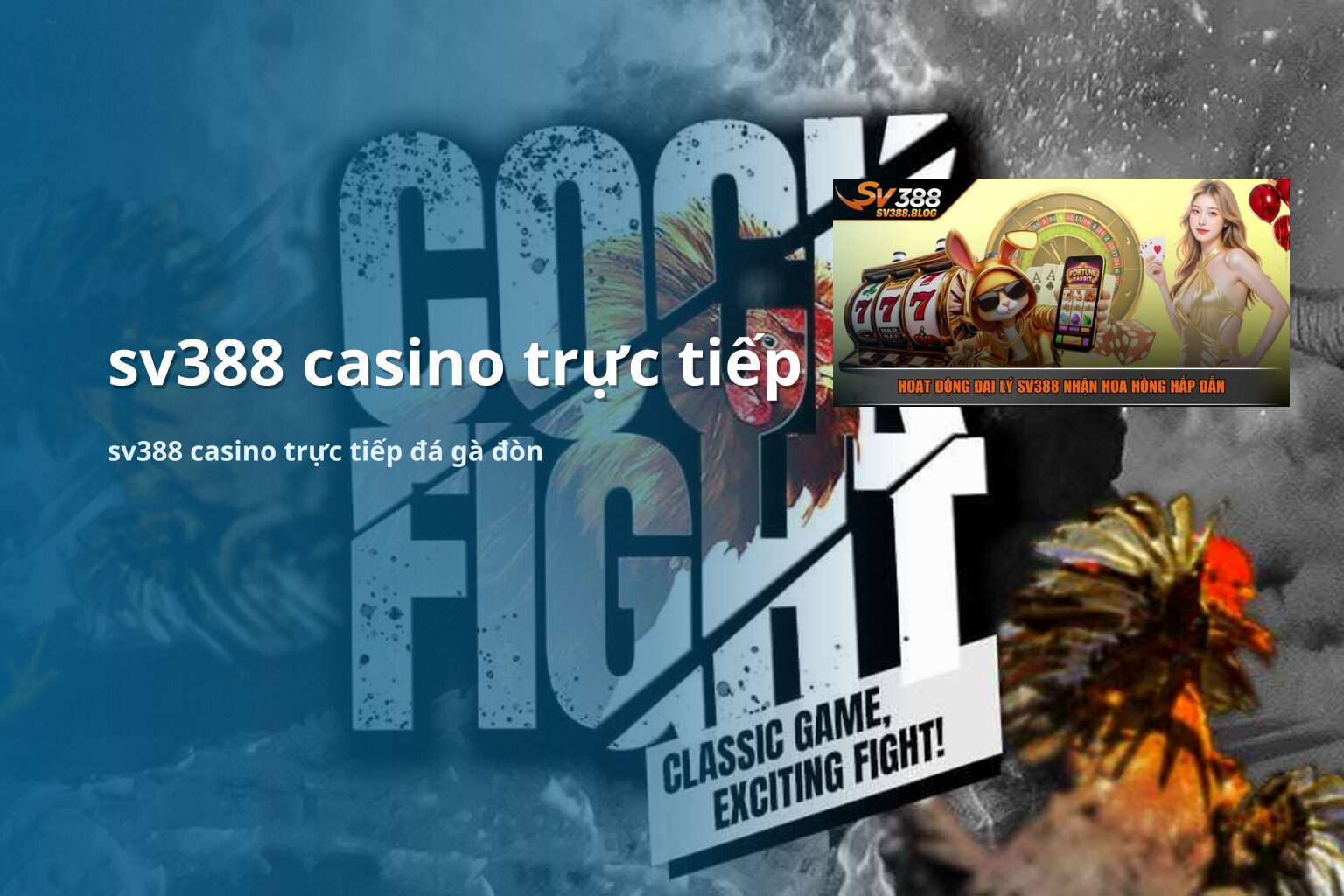 sv388 casino trực tiếp sv388 casino trực tiếp đá gà đòn