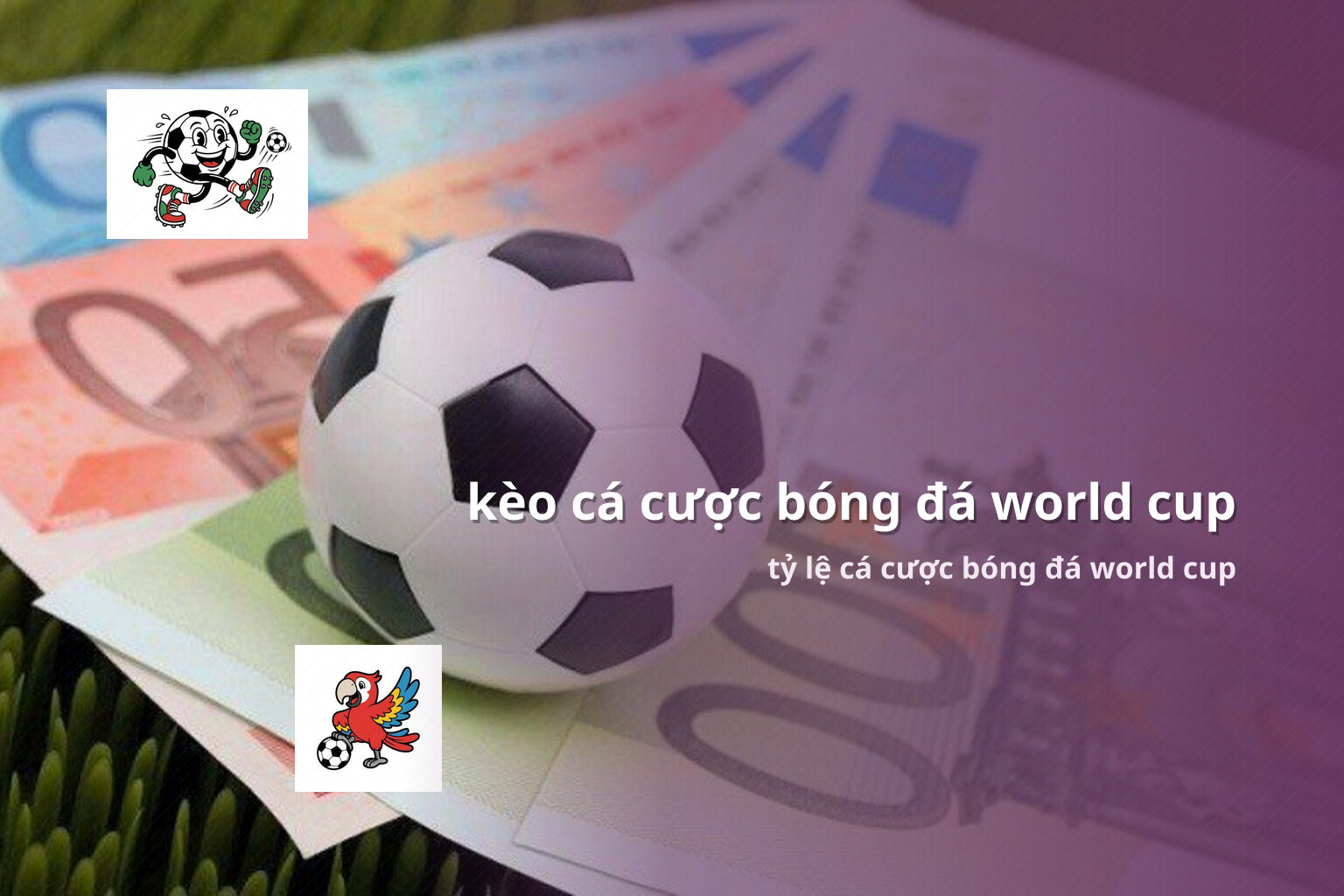 kèo cá cược bóng đá world cup tỷ lệ cá cược bóng đá world cup