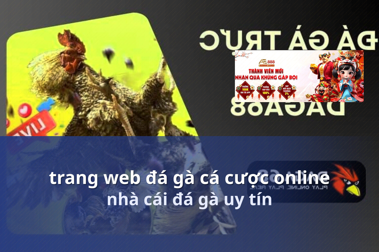 trang web đá gà cá cược online nhà cái đá gà uy tín