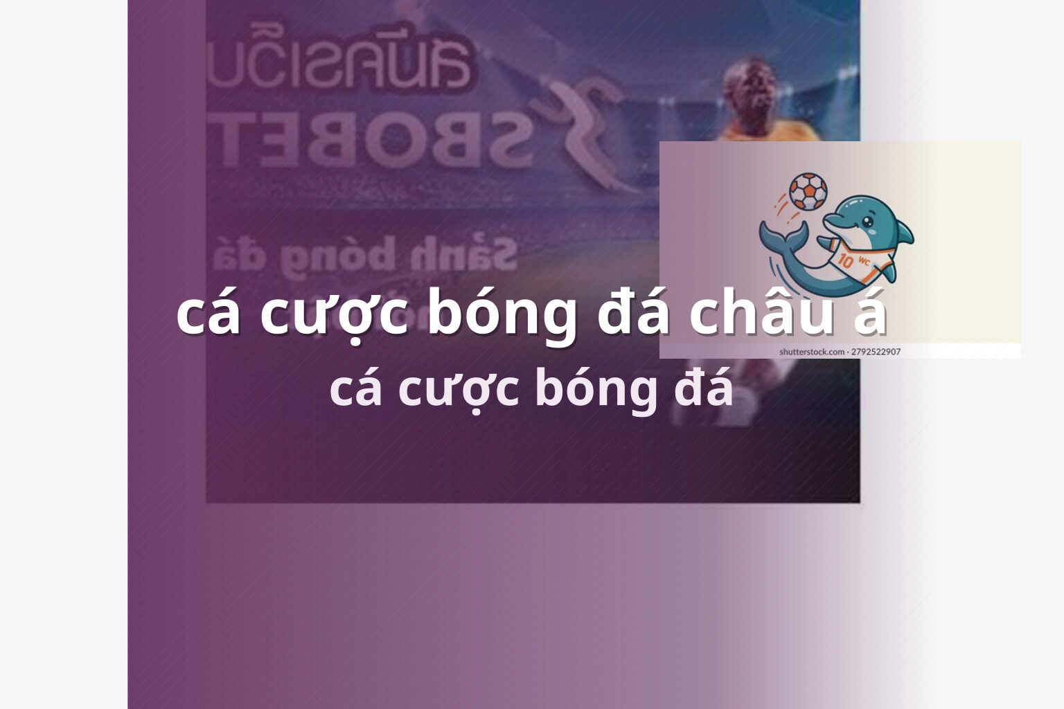 cá cược bóng đá châu á cá cược bóng đá