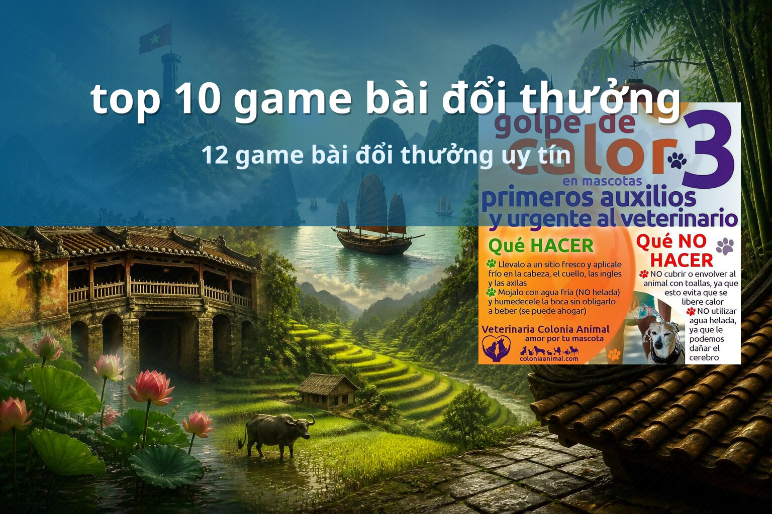 top 10 game bài đổi thưởng - gaming_research