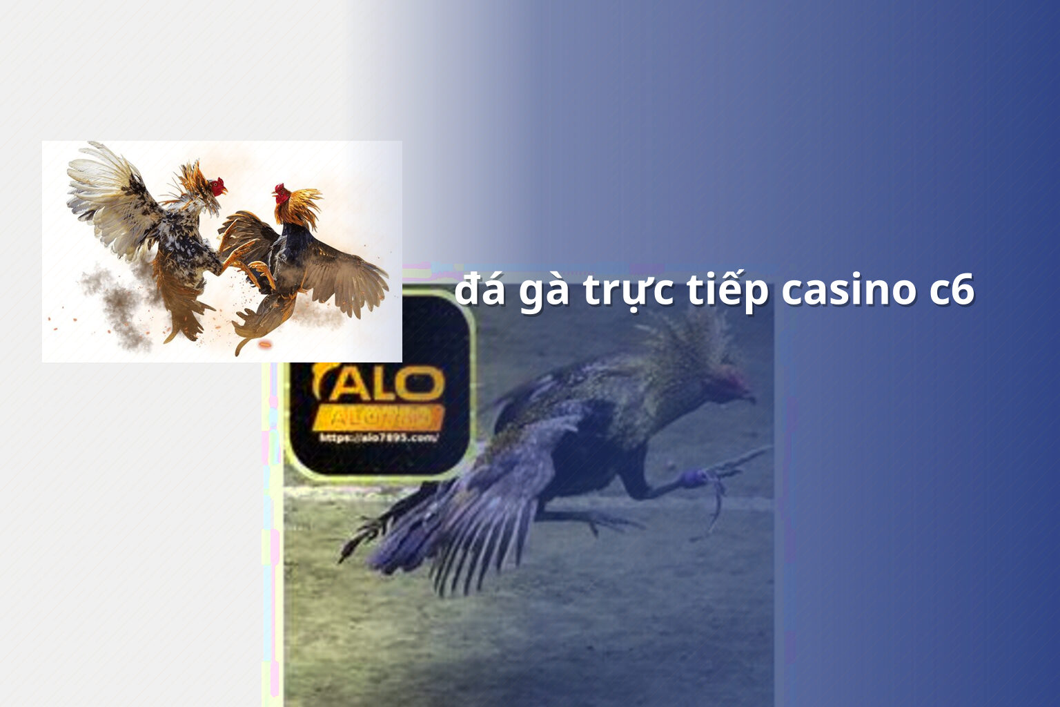 đá gà trực tiếp casino c6 - gaming_research