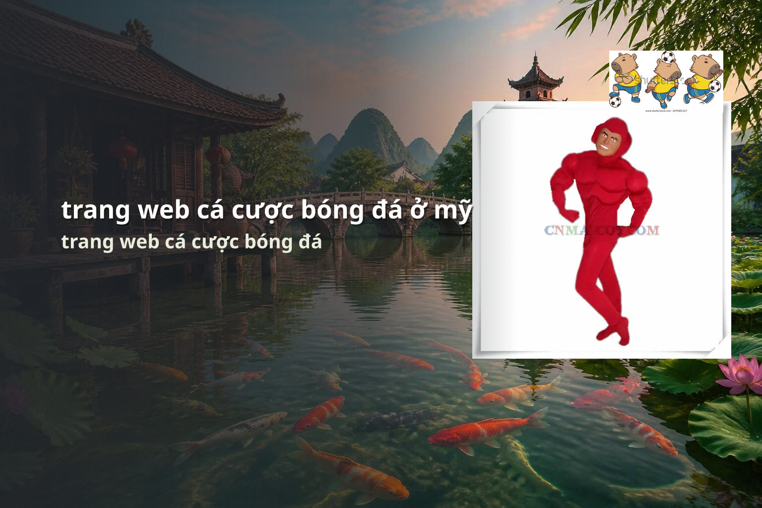 trang web cá cược bóng đá ở mỹ trang web cá cược bóng đá