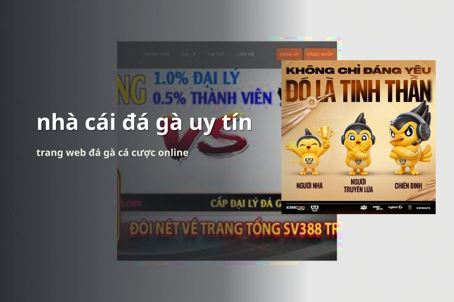 nhà cái đá gà uy tín - gaming_research
