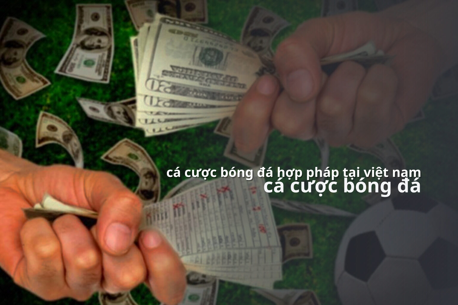 cá cược bóng đá hợp pháp tại việt nam - gaming_research