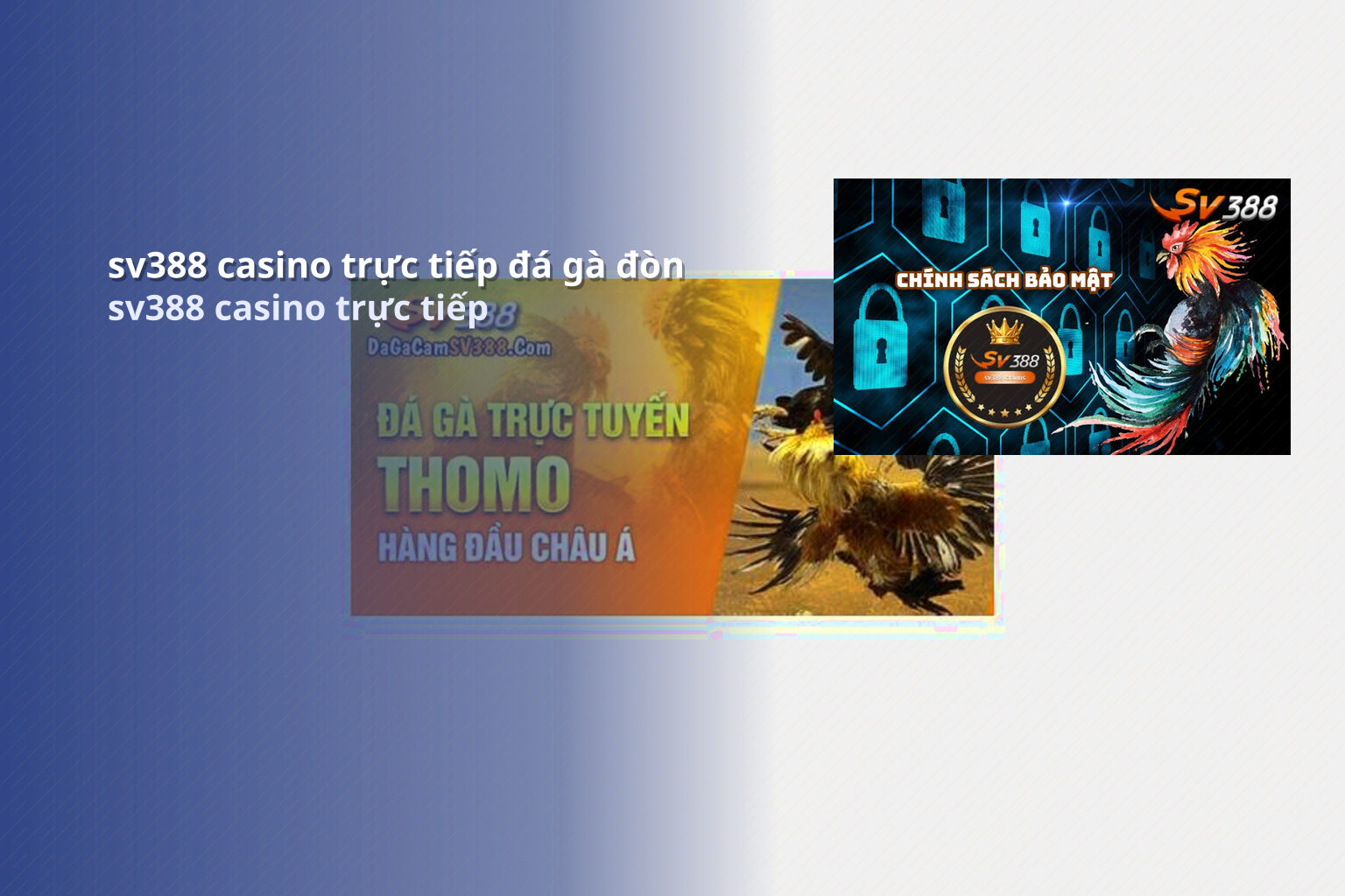 sv388 casino trực tiếp đá gà đòn sv388 casino trực tiếp