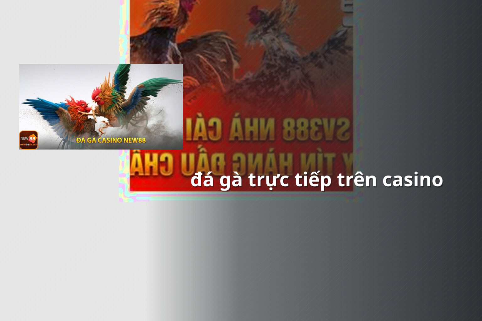 đá gà trực tiếp trên casino - gaming_research